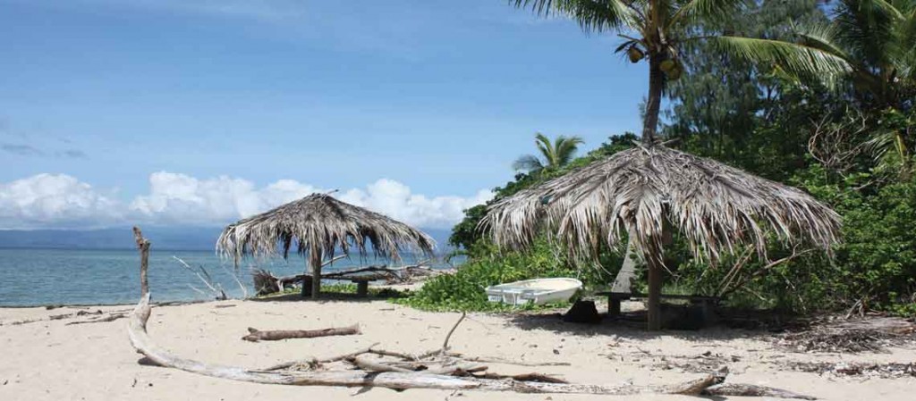 Low Isles Beach