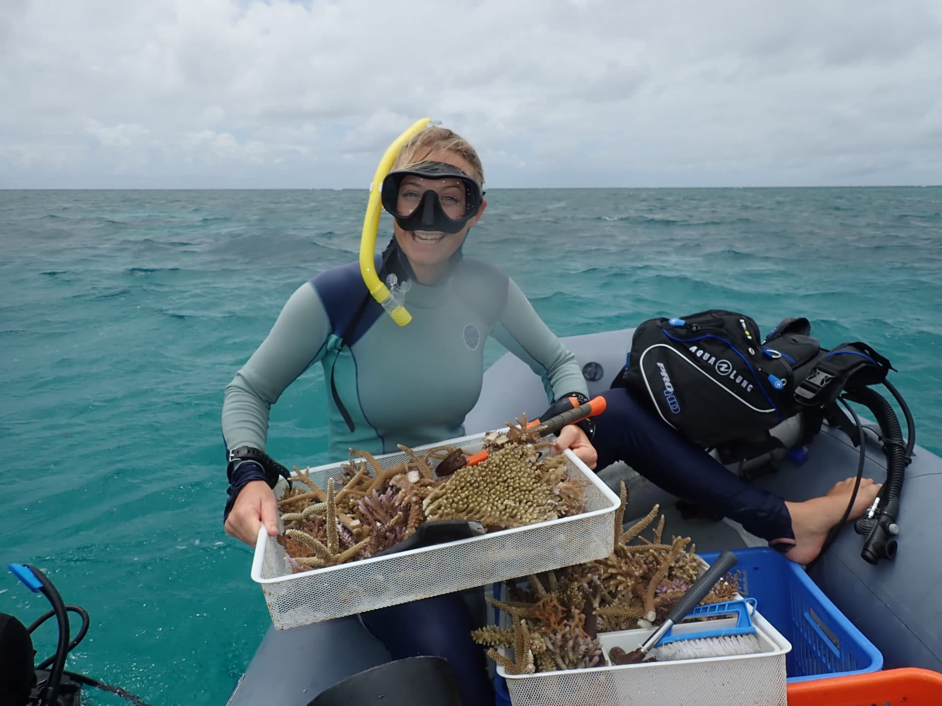 Photo of diver preparing coral for installation - 31 Jan 2020
