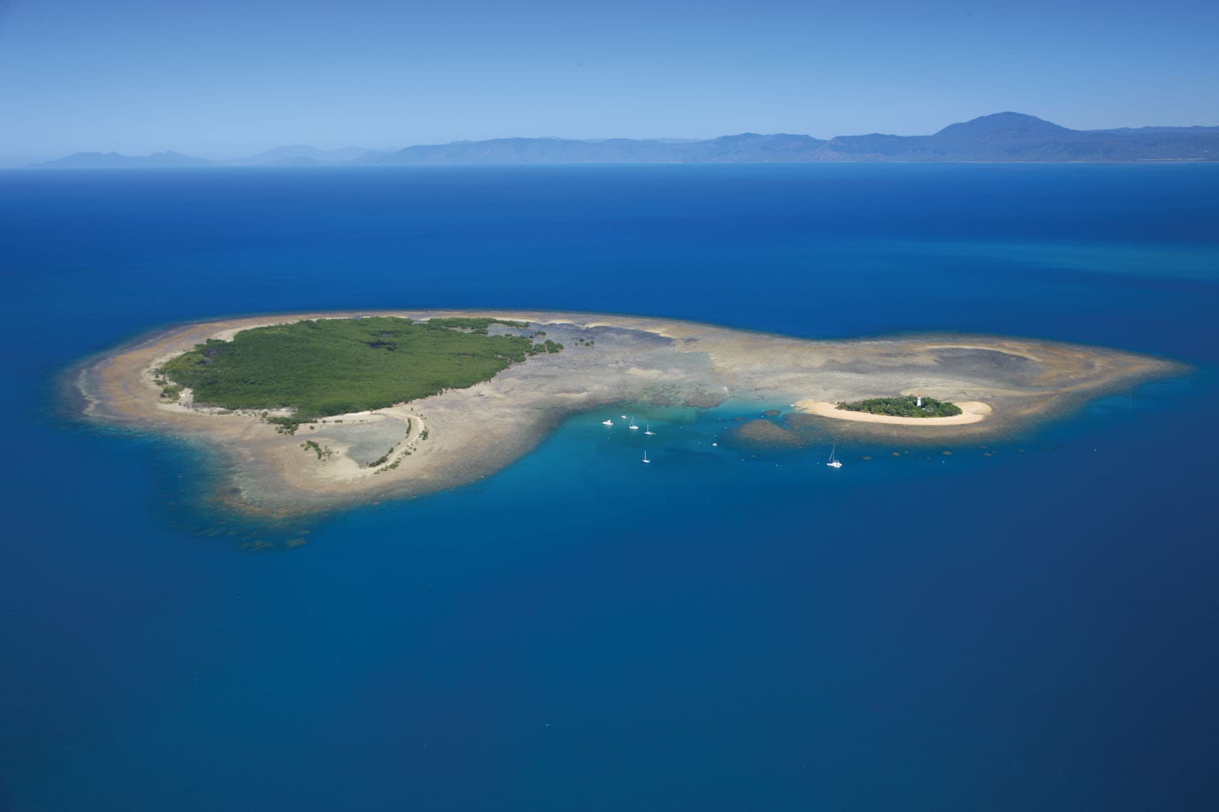 port douglas low isles tour